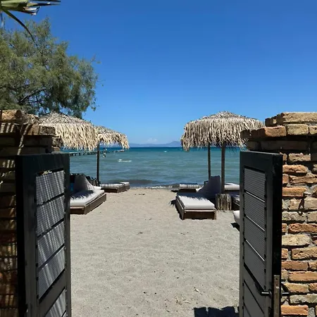 Alex's Seafront בית נופש לפקימי
