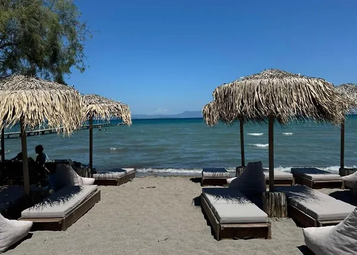 Alex's Seafront
